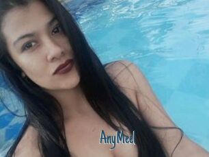 AnyMeel