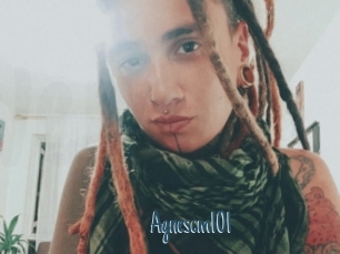 Agnescm101