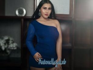 Antonellajakub