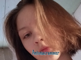Antoniacrammer