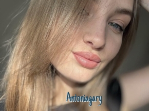 Antoniagary