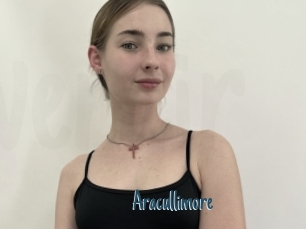 Aracullimore