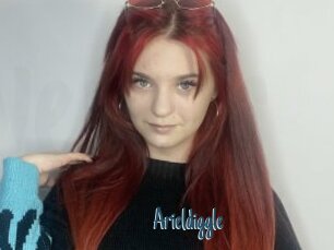 Arieldiggle