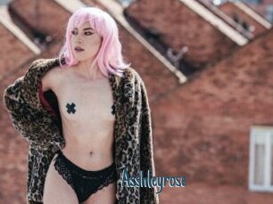 Asshleyrose