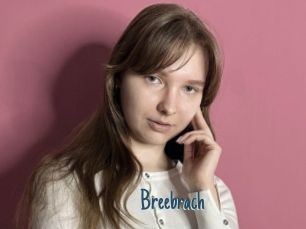 Breebrach