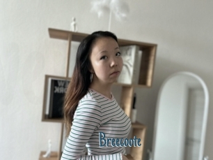 Breecoote