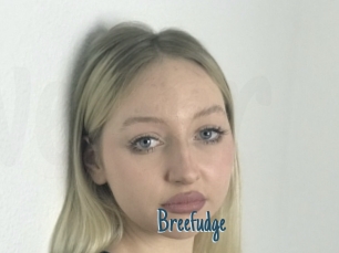 Breefudge