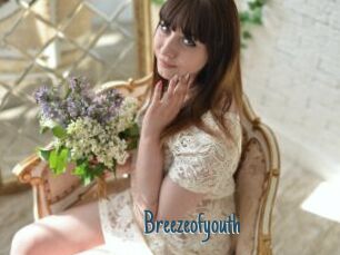 Breezeofyouth