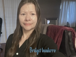 Bridget_banderro