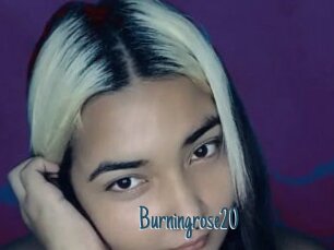 Burningrose20