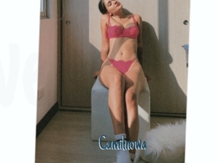 Camilnowa