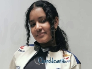 Chaneldesantis