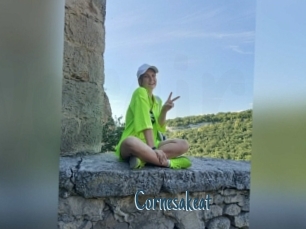 Cornesakeat