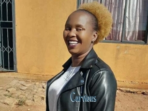 Curvious