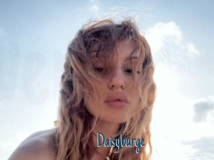 Daisyburge
