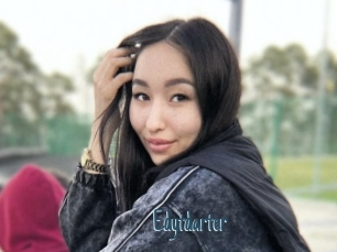 Edytdarter