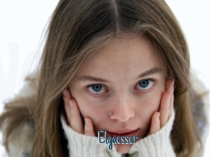 Elgaesser
