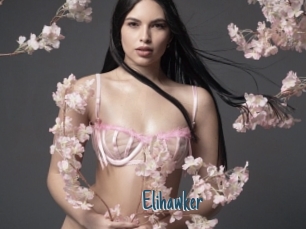 Elihawker