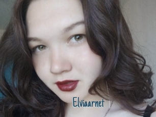 Elviaarnet