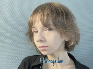 Elwinegallant