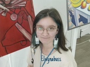 Elwynabuss