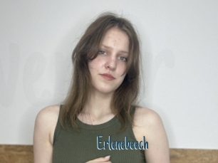 Erlenebeech