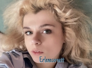 Erlenecornett
