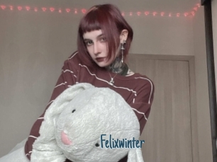 Felixwinter