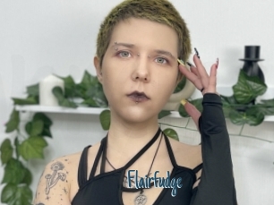 Flairfudge