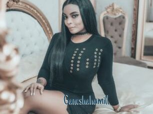 Ganeshahamill