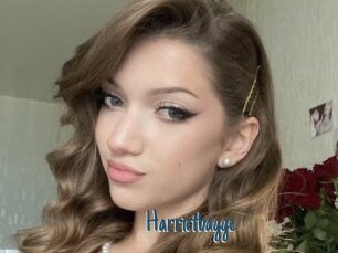 Harrietbagge