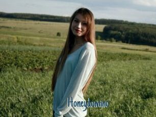 Honeydomino
