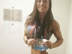 Indigofox