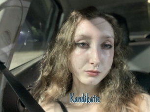 Kandikatie