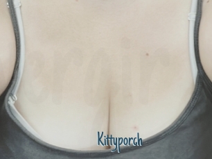 Kittyporch