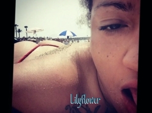 Lilyflower