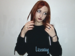 Lizaswag