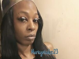 Mariegotcakes23