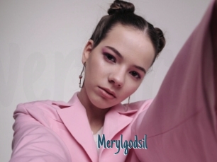Merylgodsil