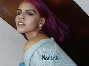 NoaDavis