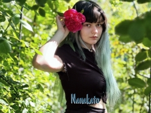 Nanakato