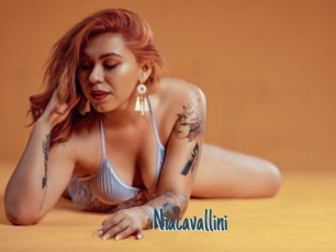 Niacavallini