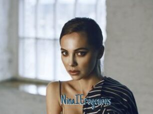 NinaIErogenous