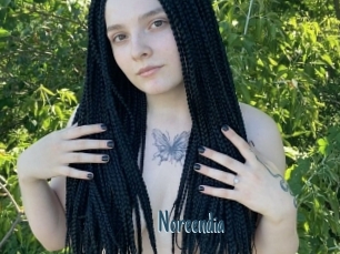 Noreendia