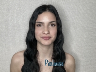 Pixelmuse
