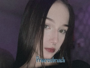 Primrosebranch