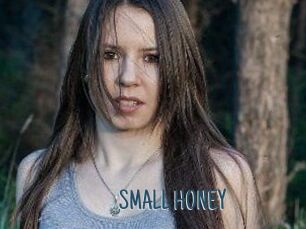 SMALL_HONEY