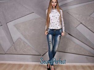 SecretPerfect