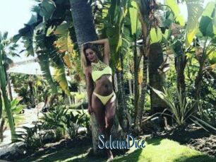 SelenaDice