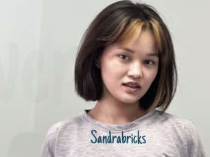 Sandrabricks